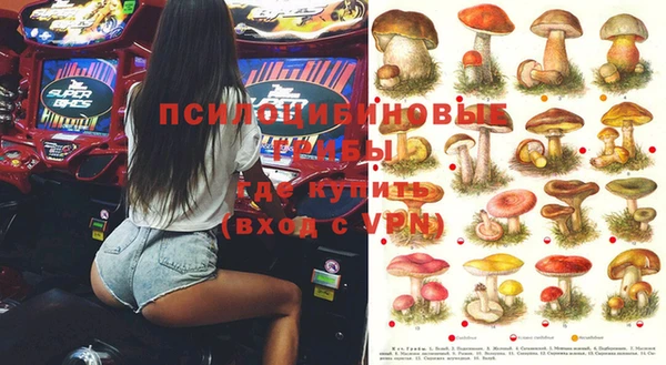 круглые Алексеевка