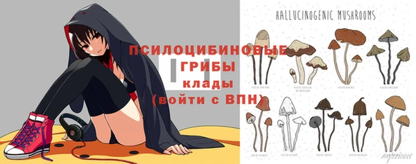 экстази Абинск